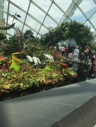 IMG_7756.jpg IMG_7756.jpg