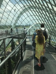 IMG_7777.jpg IMG_7777.jpg