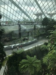 IMG_7812.jpg IMG_7812.jpg