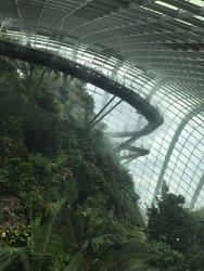 IMG_7813.jpg IMG_7813.jpg