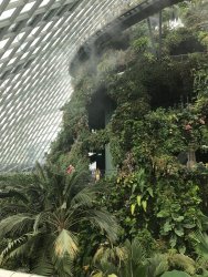 IMG_7830.jpg IMG_7830.jpg