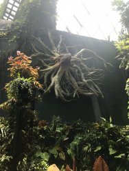 IMG_7840.jpg IMG_7840.jpg