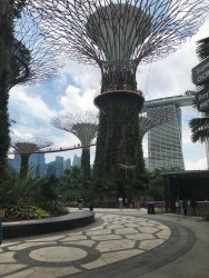 IMG_7844.jpg IMG_7844.jpg