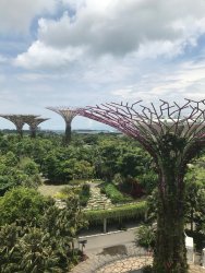 IMG_7846.jpg IMG_7846.jpg