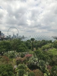 IMG_7849.jpg IMG_7849.jpg