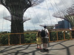 IMG_7852.jpg IMG_7852.jpg