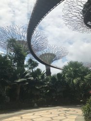 IMG_7896.jpg IMG_7896.jpg