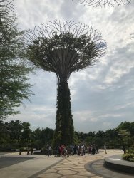 IMG_7492.jpg IMG_7492.jpg