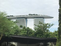 IMG_7504.jpg IMG_7504.jpg