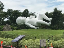 IMG_1835.jpg IMG_1835.jpg