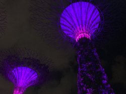 IMG_2081.jpg IMG_2081.jpg