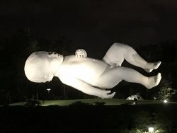 IMG_2094.jpg IMG_2094.jpg