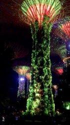 Screen Shot 2019-09-29 at 2.17.11 pm.jpg Screen Shot 2019-09-29 at 2.17.11 pm.jpg