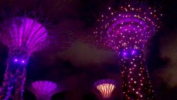 Screen Shot 2019-09-29 at 2.19.58 pm.jpg Screen Shot 2019-09-29 at 2.19.58 pm.jpg