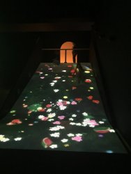 IMG_8249.jpg IMG_8249.jpg