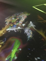 IMG_8273.jpg IMG_8273.jpg