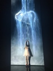 IMG_8314.jpg IMG_8314.jpg