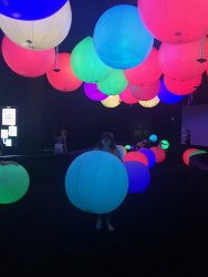 IMG_8331.jpg IMG_8331.jpg