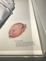 IMG_8407.jpg IMG_8407.jpg