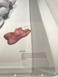 IMG_8409.jpg IMG_8409.jpg