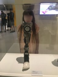 IMG_8377.jpg IMG_8377.jpg