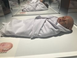 IMG_8406.jpg IMG_8406.jpg