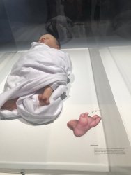 IMG_8408.jpg IMG_8408.jpg