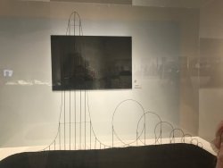 IMG_8419.jpg IMG_8419.jpg