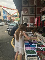 IMG_8126.jpg IMG_8126.jpg