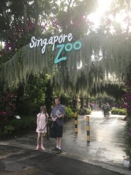 IMG_8479.jpg IMG_8479.jpg