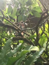 IMG_8490.jpg IMG_8490.jpg