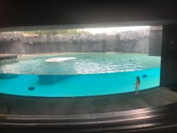 IMG_8535.jpg IMG_8535.jpg