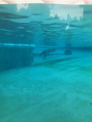 IMG_8540.jpg IMG_8540.jpg