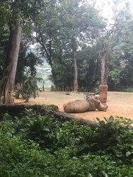 IMG_8570.jpg IMG_8570.jpg