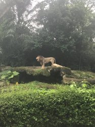 IMG_8644.jpg IMG_8644.jpg