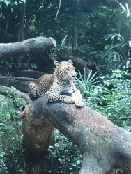 IMG_1848.jpg IMG_1848.jpg