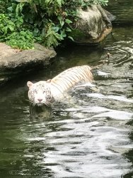 IMG_1855.jpg IMG_1855.jpg