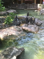 IMG_8936.jpg IMG_8936.jpg