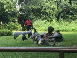 IMG_8999.jpg IMG_8999.jpg