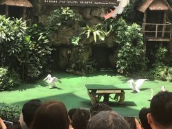 IMG_9020.jpg IMG_9020.jpg