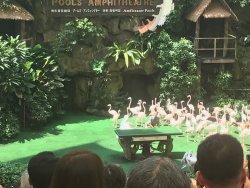 IMG_9026.jpg IMG_9026.jpg