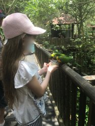 IMG_9121.jpg IMG_9121.jpg