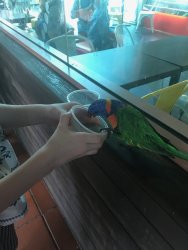 IMG_9139.jpg IMG_9139.jpg