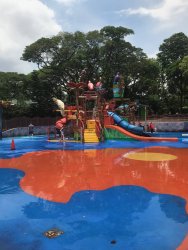 IMG_9295.jpg IMG_9295.jpg