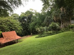 IMG_1866.jpg IMG_1866.jpg