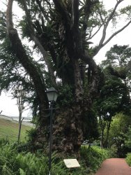 IMG_1867.jpg IMG_1867.jpg