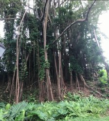 IMG_1874.jpg IMG_1874.jpg