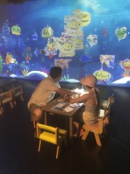 IMG_9520.jpg IMG_9520.jpg