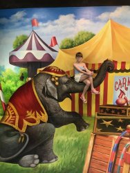 IMG_1884.jpg IMG_1884.jpg