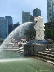 IMG_1846.jpg IMG_1846.jpg